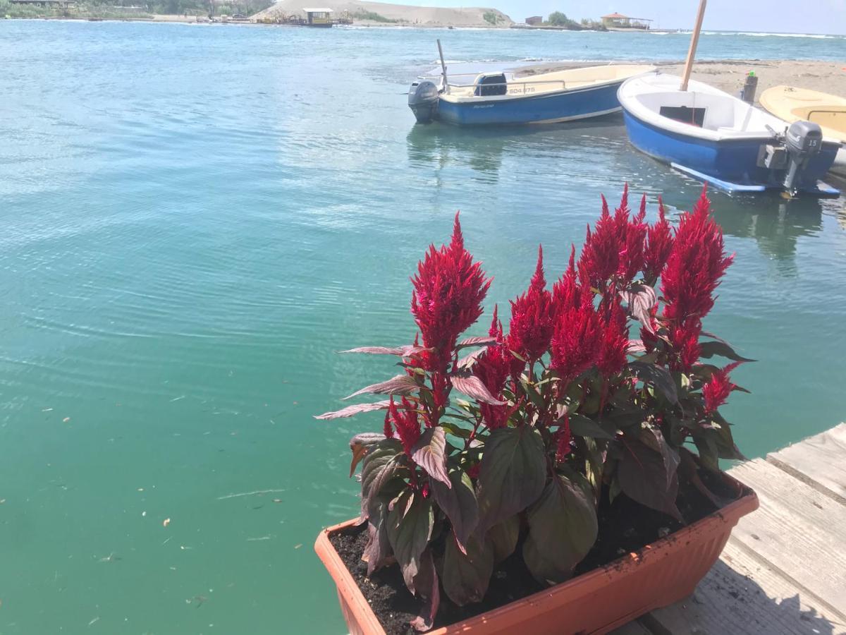 Kucica Na Adi Bojani Vila Ulcinj Exterior foto